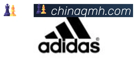 球盟会合作伙伴