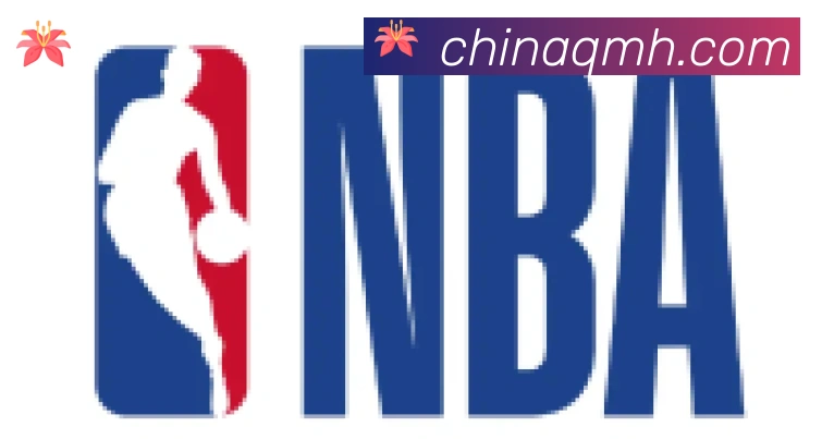 球盟会合作伙伴